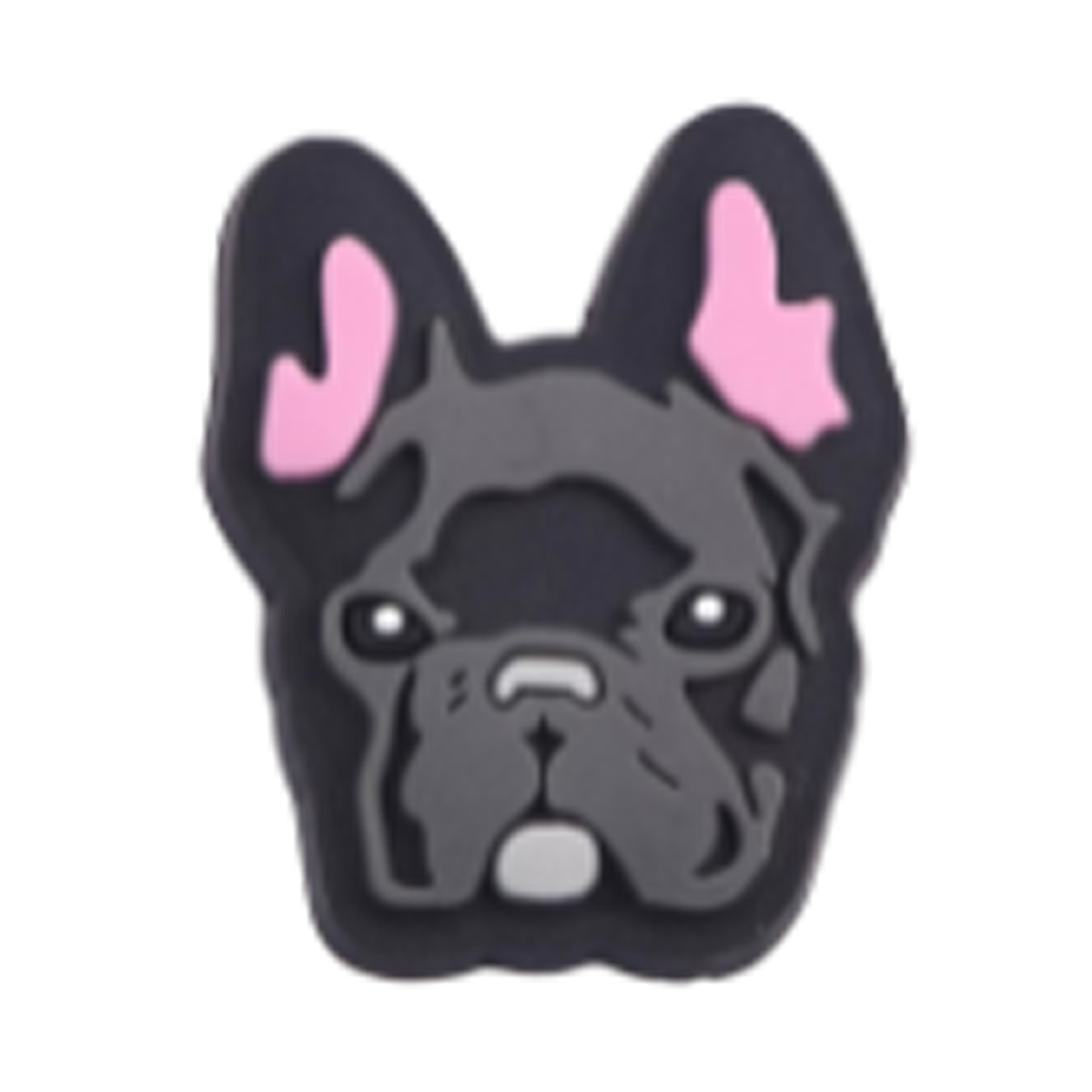 Handsome Dog