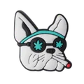 Cool Dog