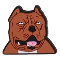 Upset Pitbull