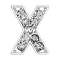 Diamond Silver X