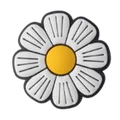 Daisy Flower