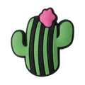 Only Cactus