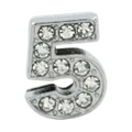 silver 5